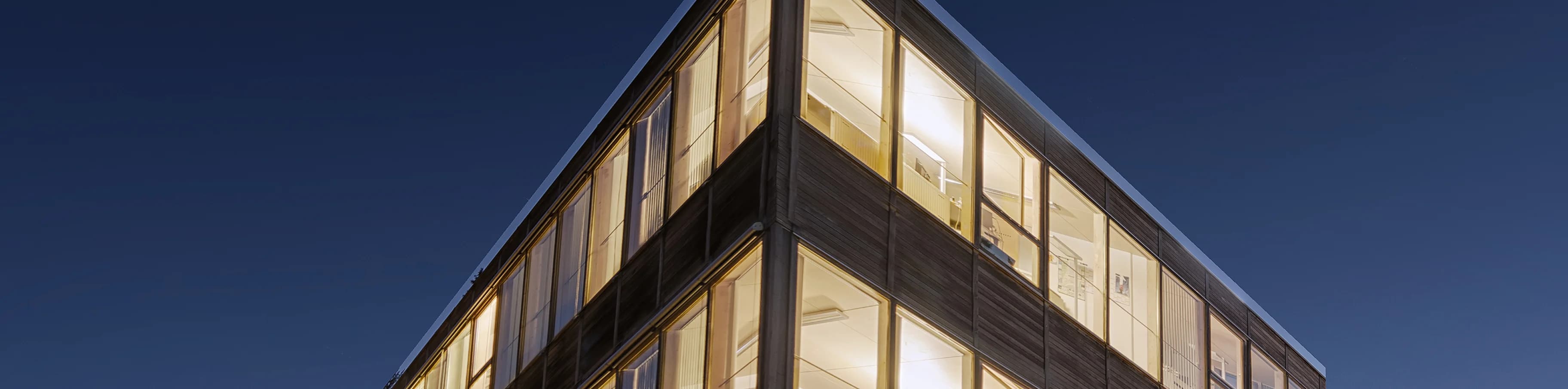 Other bussines  area of AKFA Holding